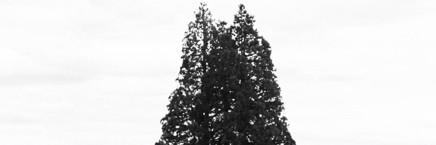 cobalttwenty7's profile banner image