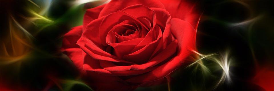 Pemuda_Tweet's profile banner image
