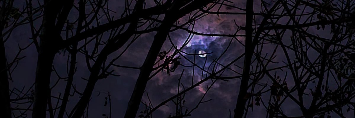 gaelinls's profile banner image