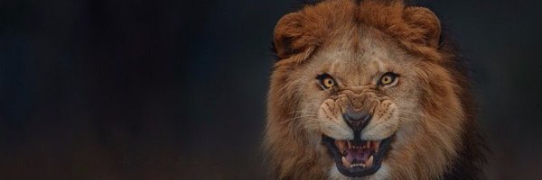 Jwhat_ismyname Profile Banner