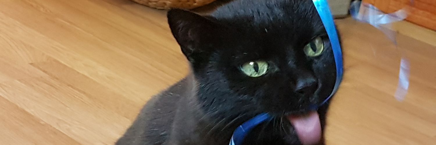 🇩🇪 Der Demokrat  KEIN Parodie-Account! banner