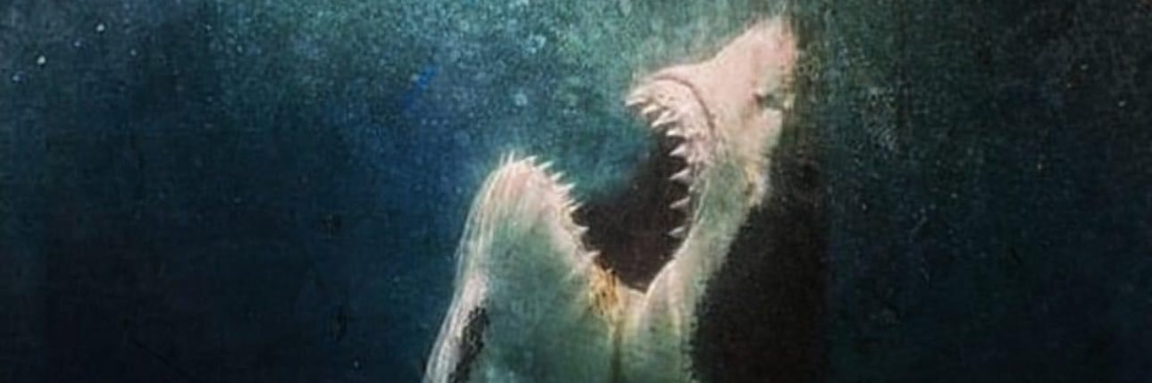 ERPourit's profile banner image