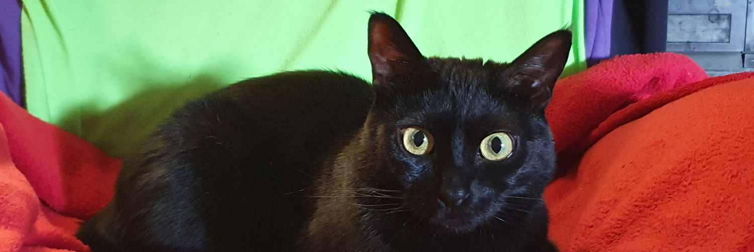 Franck 🏳️‍🌈 banner