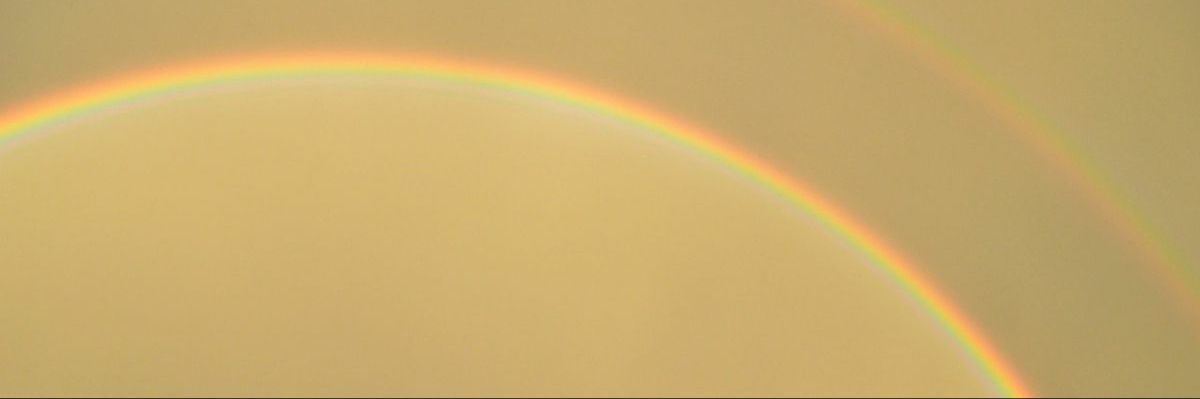 Viknod's profile banner image
