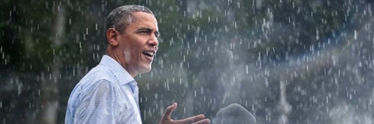 Stephanie Spence banner