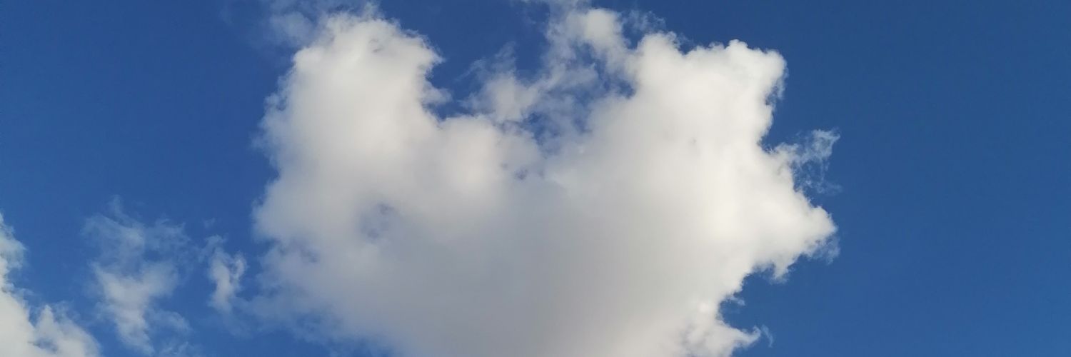 chnkcck's profile banner image