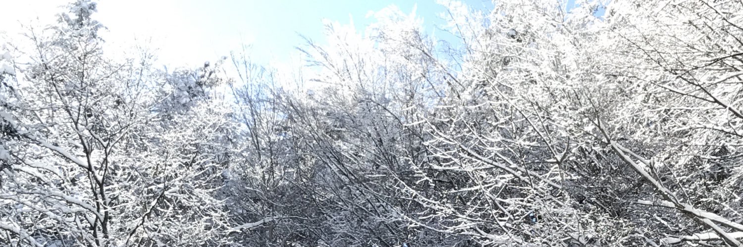 Massimo Dente💙 banner