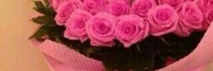 AMahmda6's profile banner image
