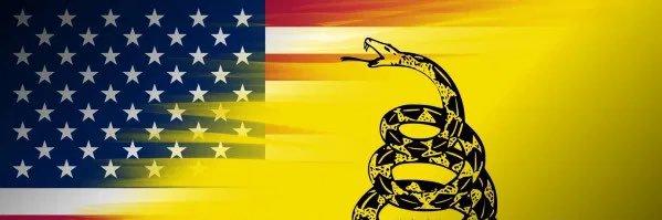 AMMOgrrl461's profile banner image