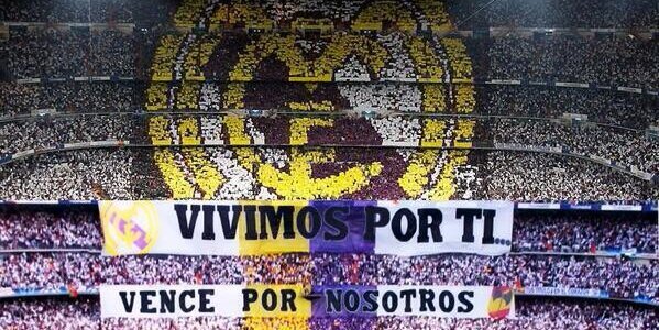 Alvaro Flores banner