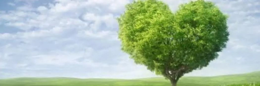 suvedasel's profile banner image