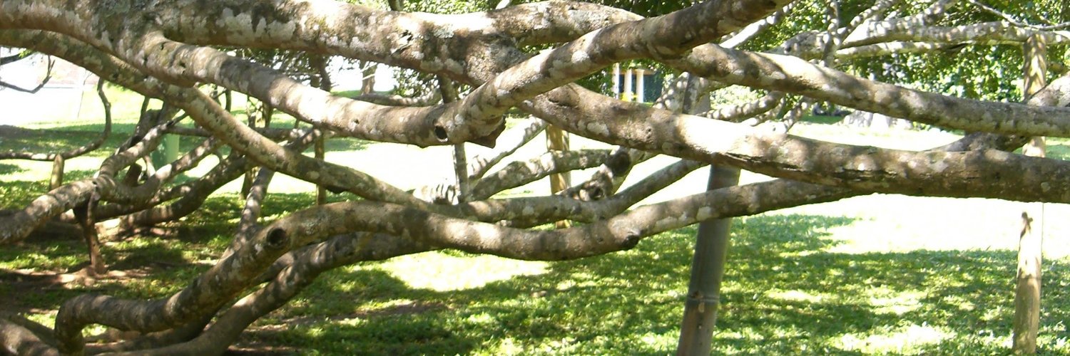 riedelmika's profile banner image