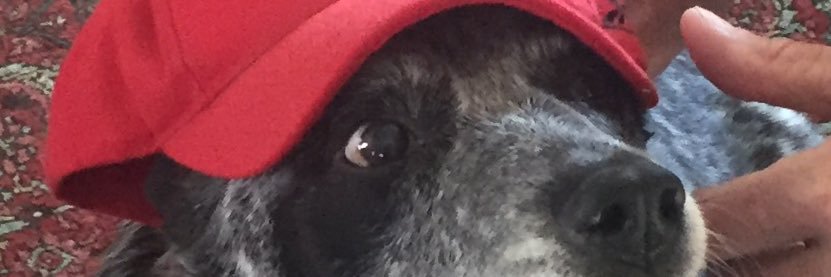 MarkMorrisey's profile banner image