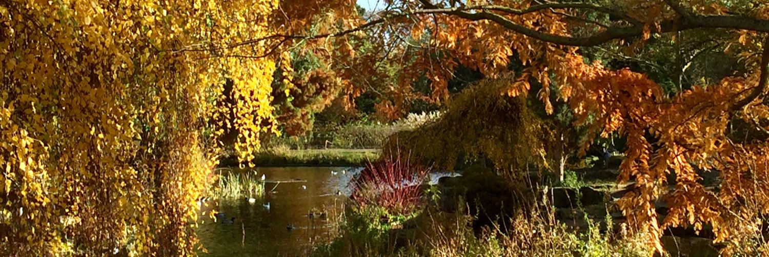 jainneil's profile banner image