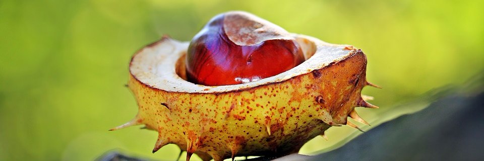 TR_Lettings's profile banner image