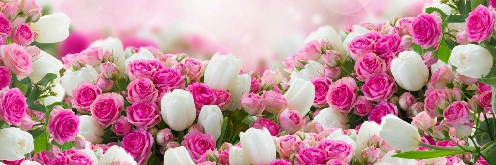 ✪ Amore ✪ banner