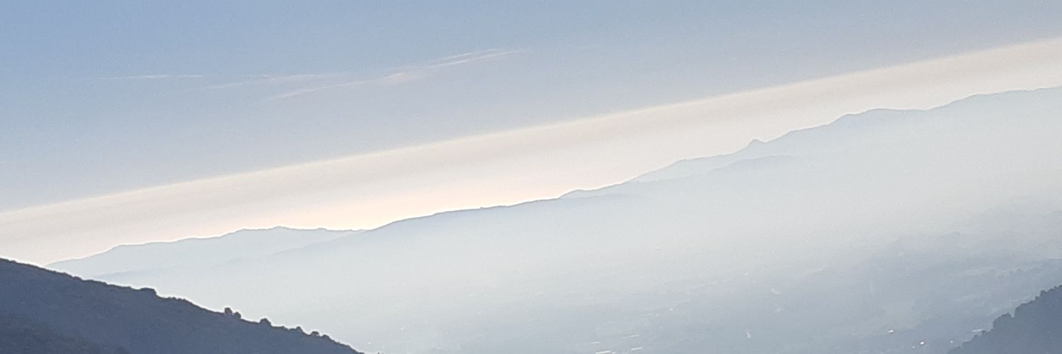 laia_espelt's profile banner image