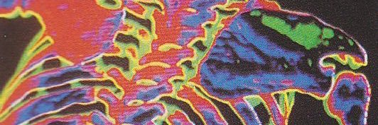 dnlhay's profile banner image