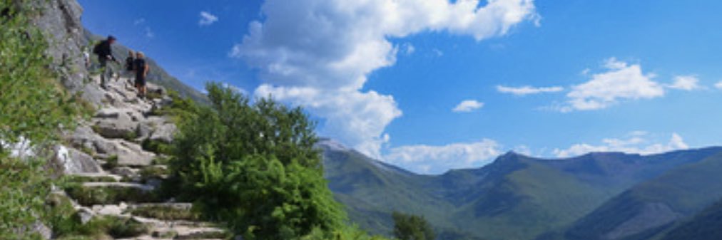 Sarahmurphy4's profile banner image