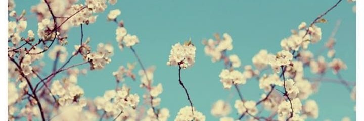 BertCharline's profile banner image