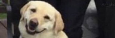 ByHanqerSK's profile banner image