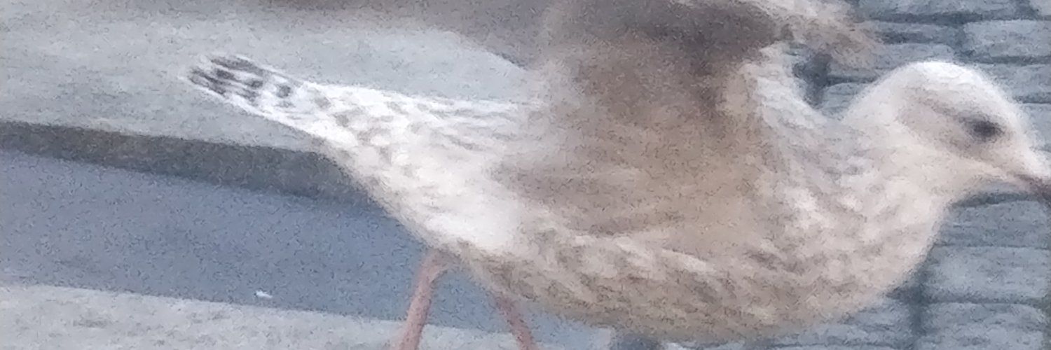 Borleyj2's profile banner image