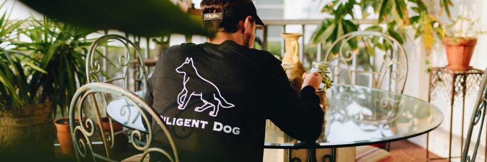 shopdiligentdog's profile banner image