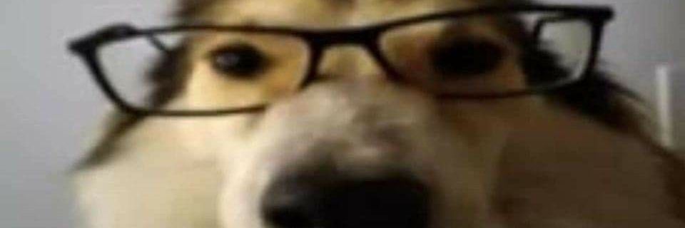 fakundo_exe's profile banner image