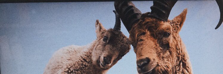 LegendKubi's profile banner image