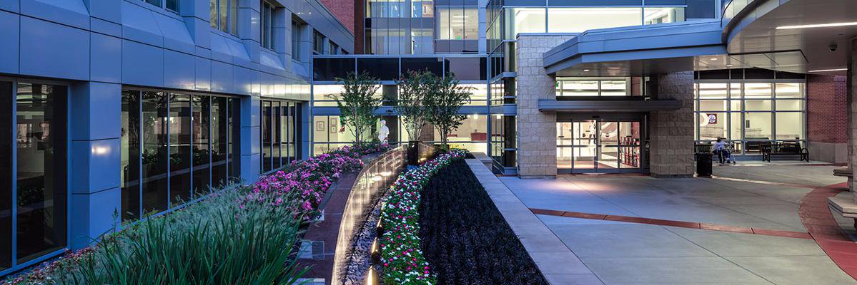 Steven C. Cunningham banner