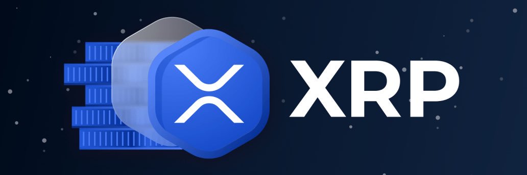 Dave Crypto XRP🔥 banner