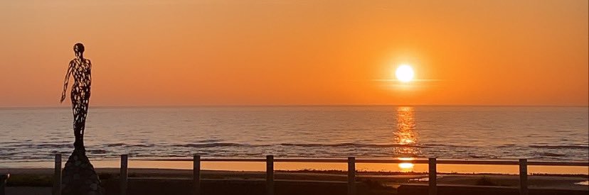 aoifewalsh1's profile banner image
