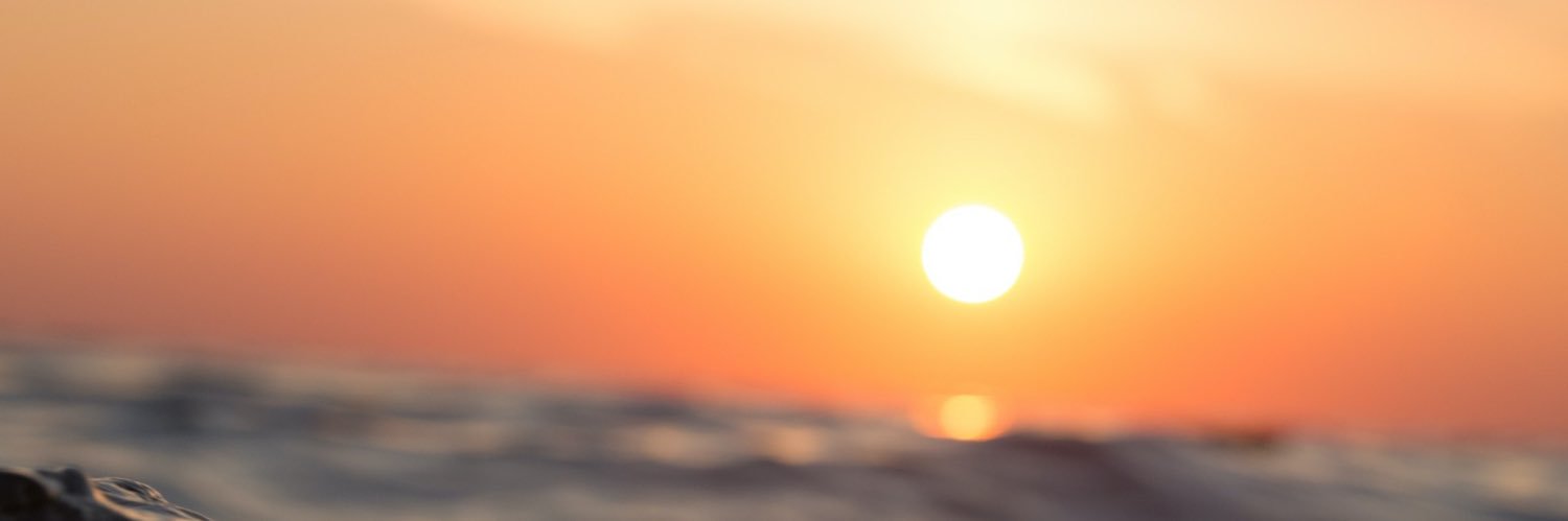 Jonathan Hallin banner