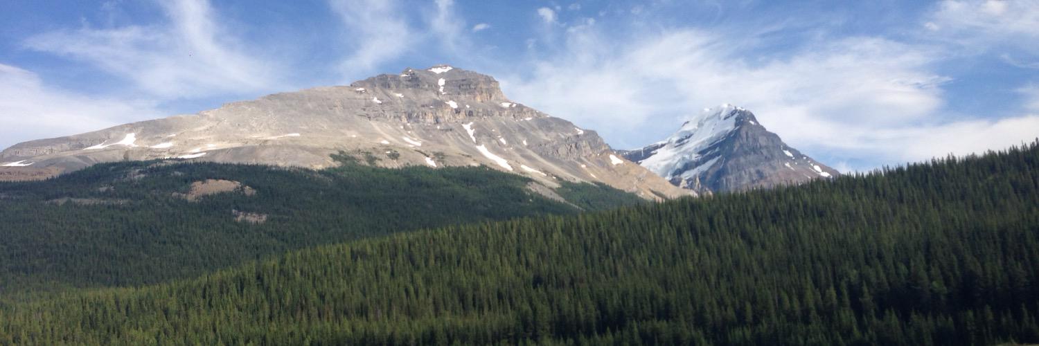 simanpanaych's profile banner image