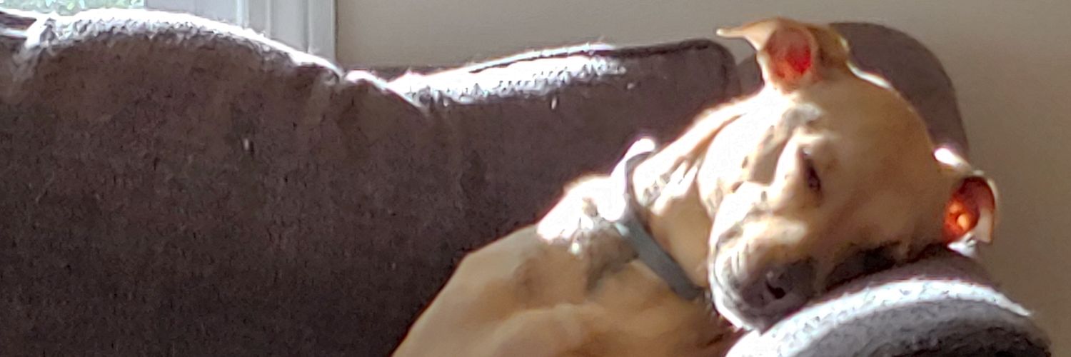 jhbb68's profile banner image