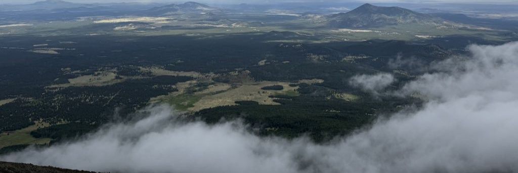 𝖍𝖎𝖑𝖉𝖊 banner