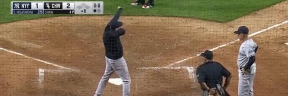 Delusional Yankees Fan banner