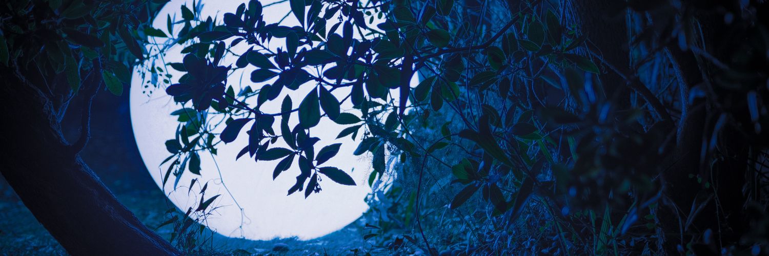 deomimago's profile banner image