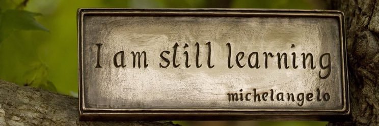 nihan_s's profile banner image