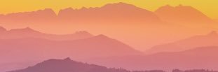 💙 L S banner