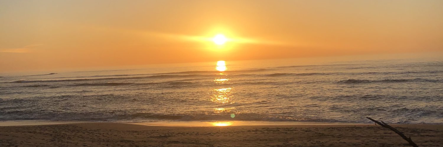 tthispires's profile banner image