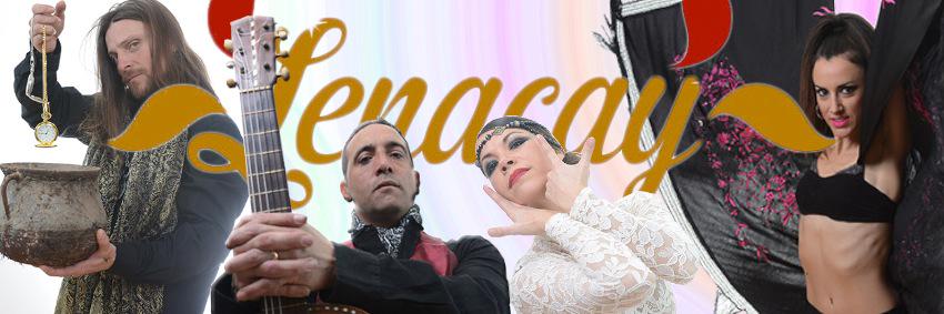 lenacay's profile banner image