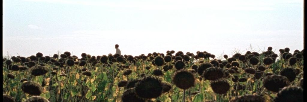vanitxs's profile banner image