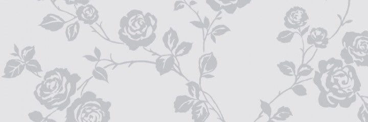 HayleyConnor12's profile banner image