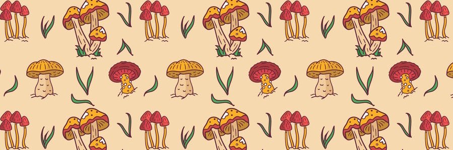 shelbeefburrito's profile banner image