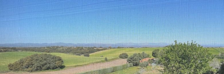 Carlos Revuelta banner