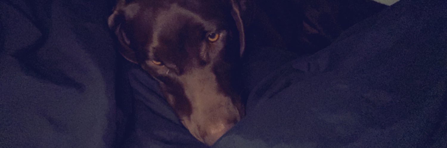 Raavenn_'s profile banner image