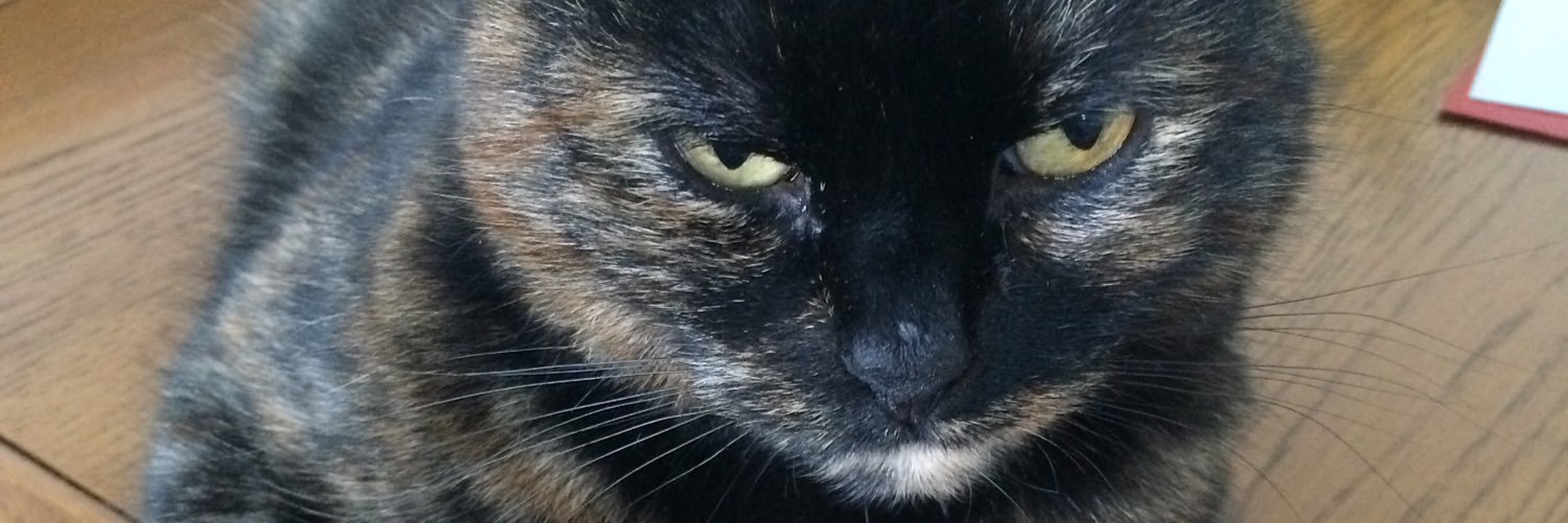 smudge142's profile banner image