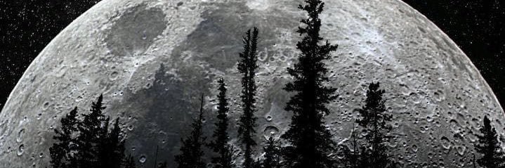 taghridah's profile banner image