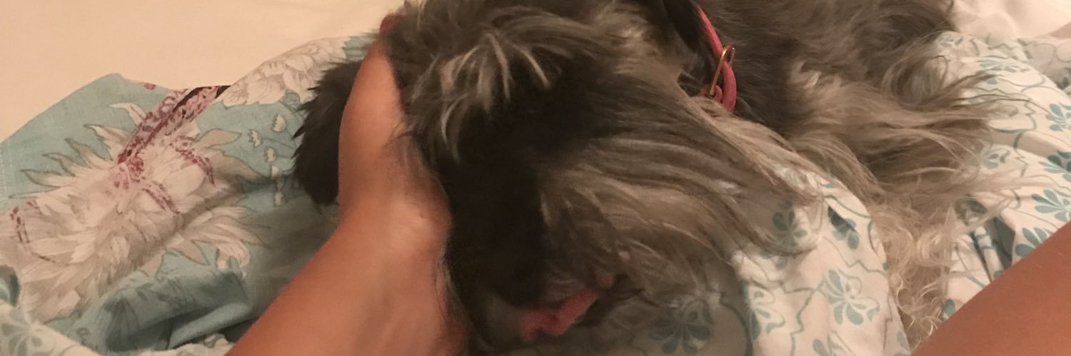 mollyagg's profile banner image